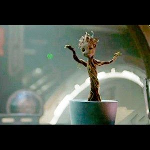 Meet your Posher, Jenny lyn